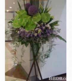 花荟鲜花礼品花店 精致花艺与家居装饰的完美融合