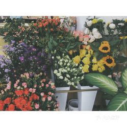 连江美食与家具指南