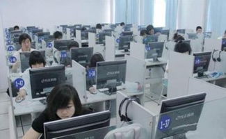 计算机应用 驱动现代社会的核心引擎